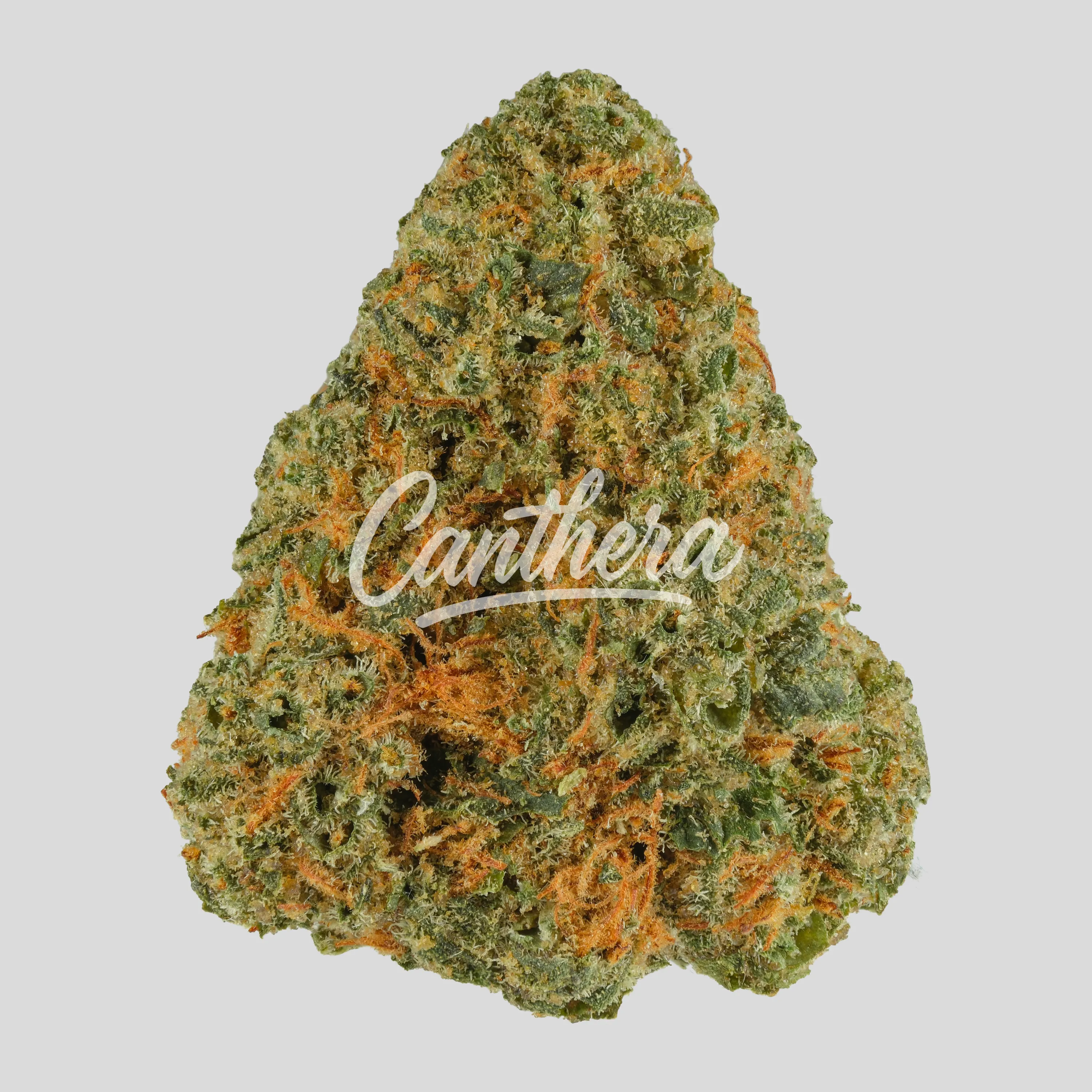 REMEXIAN 30/1 GJY CHO - Chocolate Kush REMEXIAN 30/1 GJY CHO - Chocolate Kush