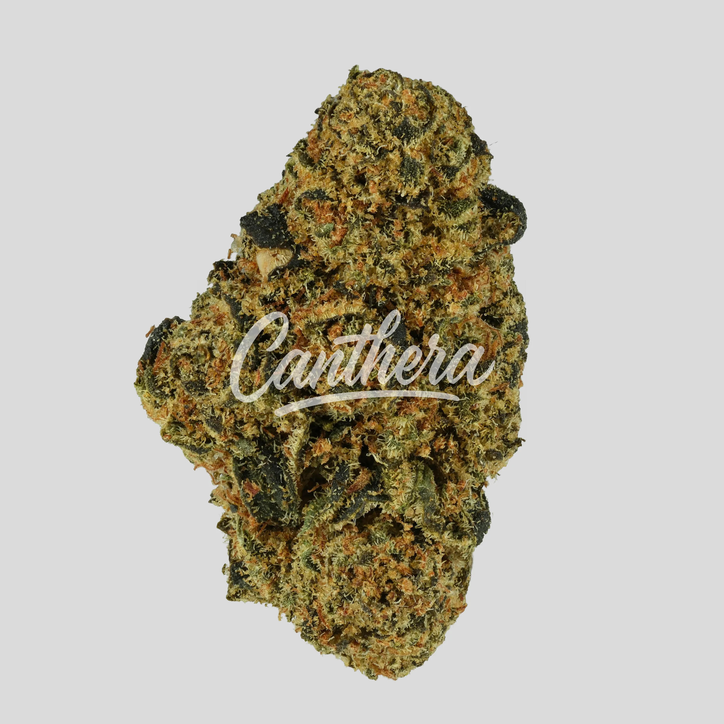 N!CE 27/1 Cannabisblüten CB - Cocoa Bomba N!CE 27/1 Cannabisblüten CB - Cocoa Bomba