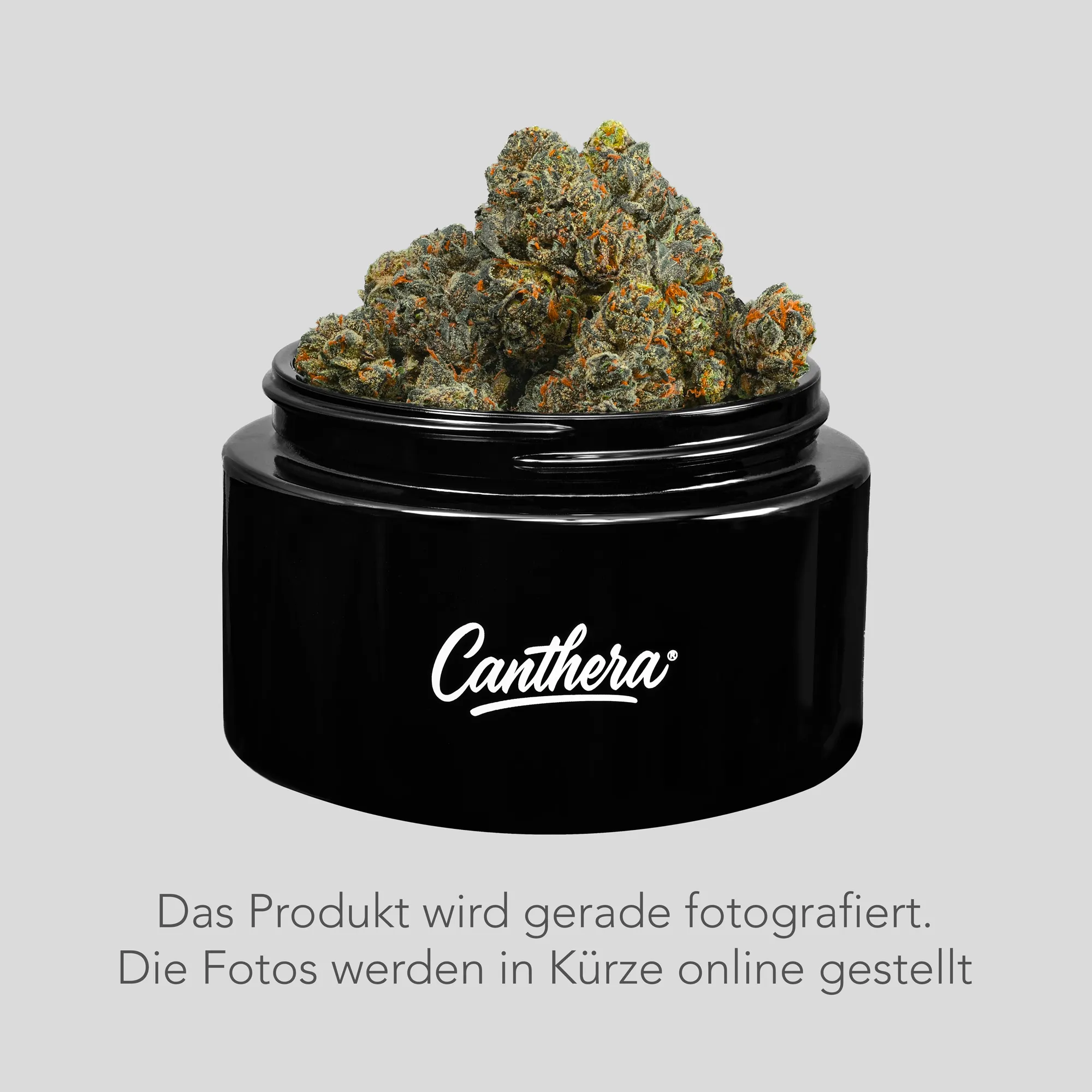 29/1 Amici WC - Wedding Cake Platzhalter für künftige Produktbilder