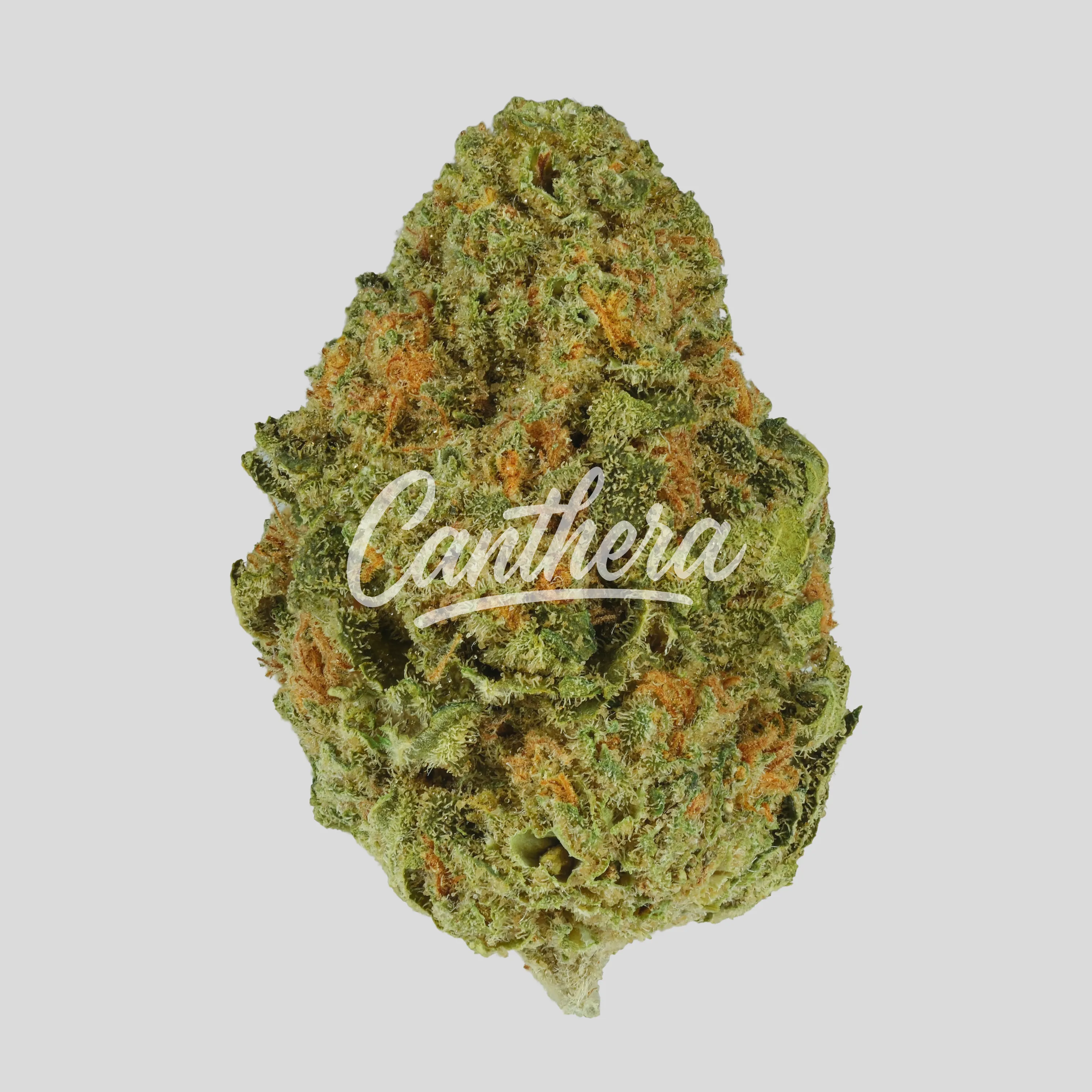 Mediprocan Lunaris 23/1 - Paradiso