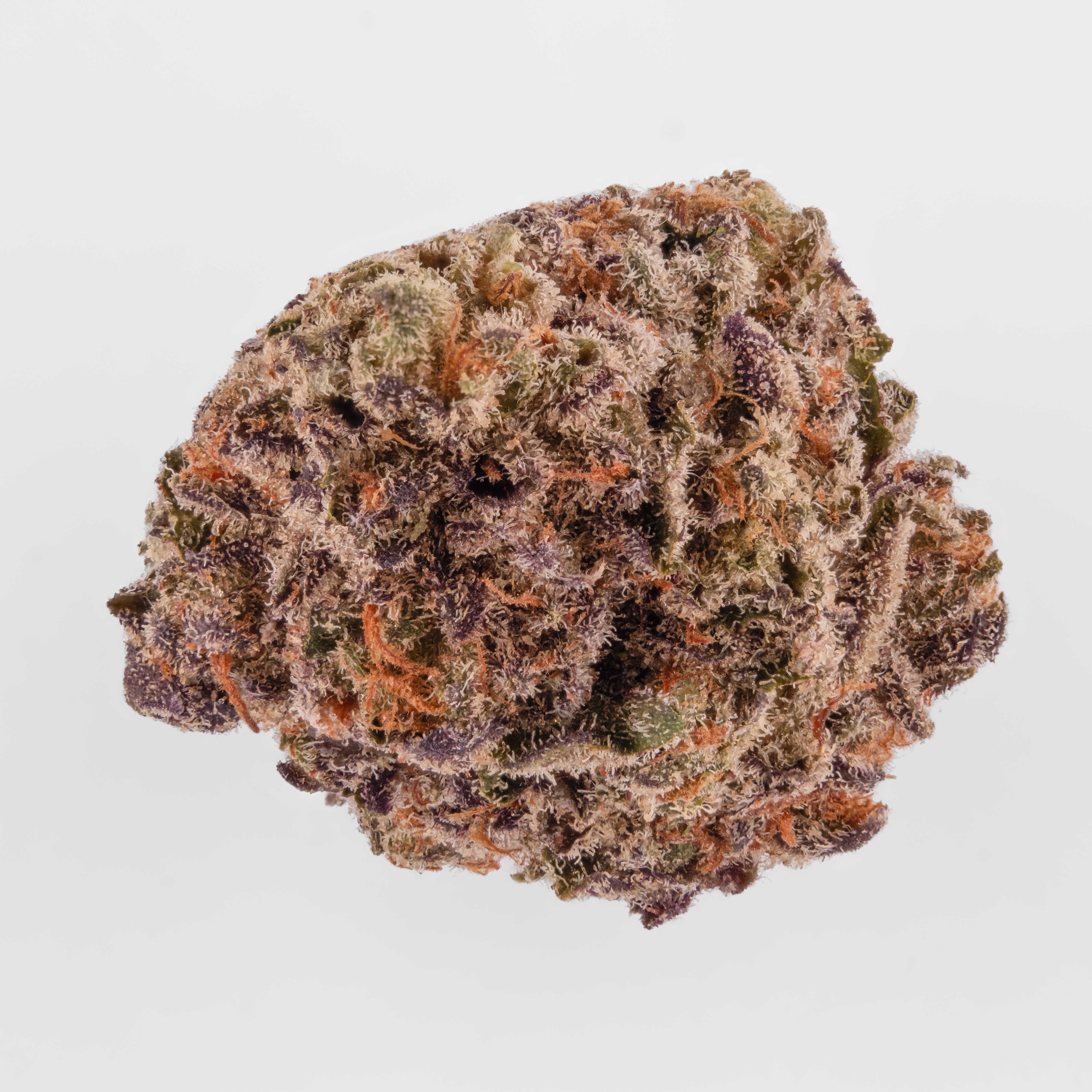 Nahaufnahme einer Cannabisblüte