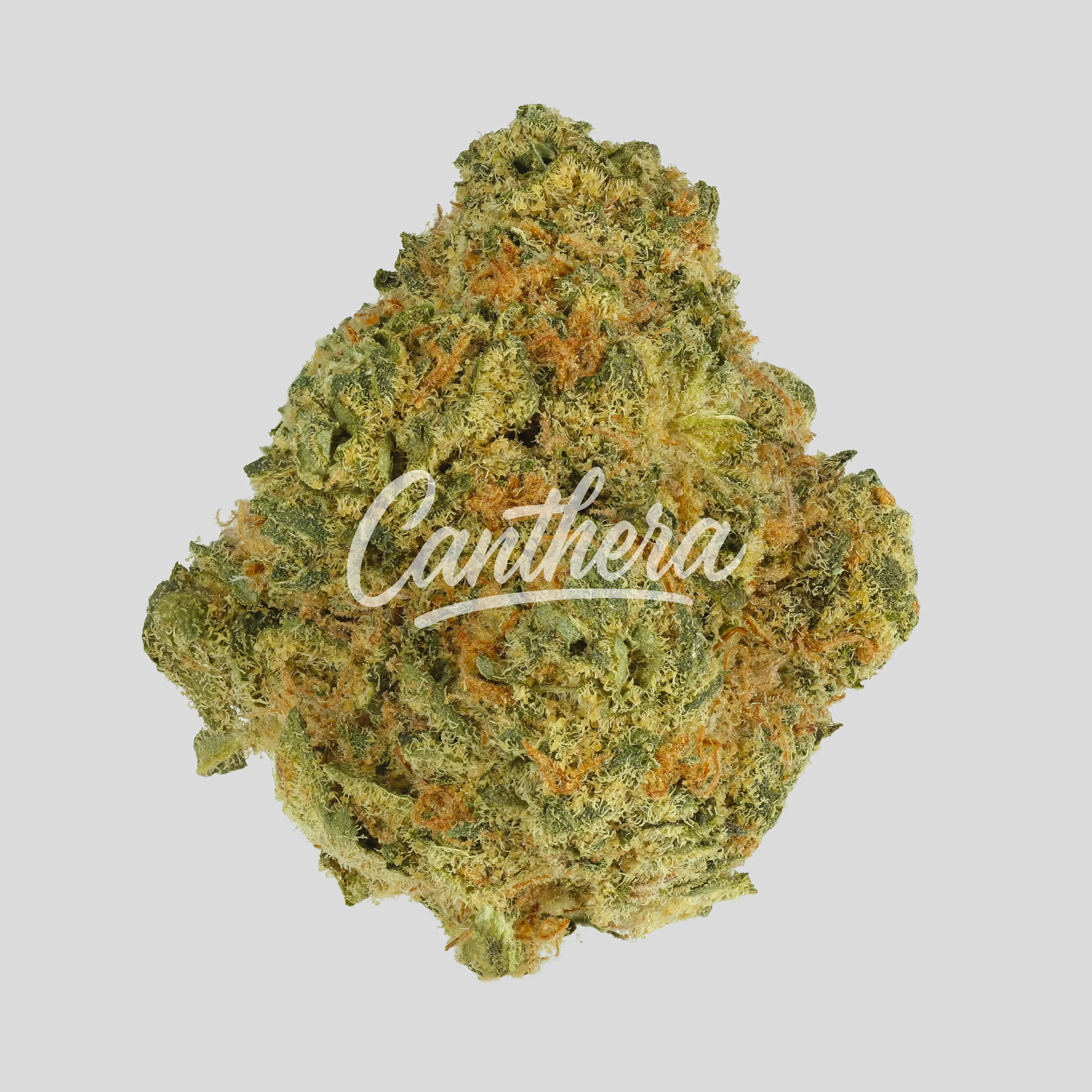 Demecan BPG Lean Drop 22:01 - Big Red Beard