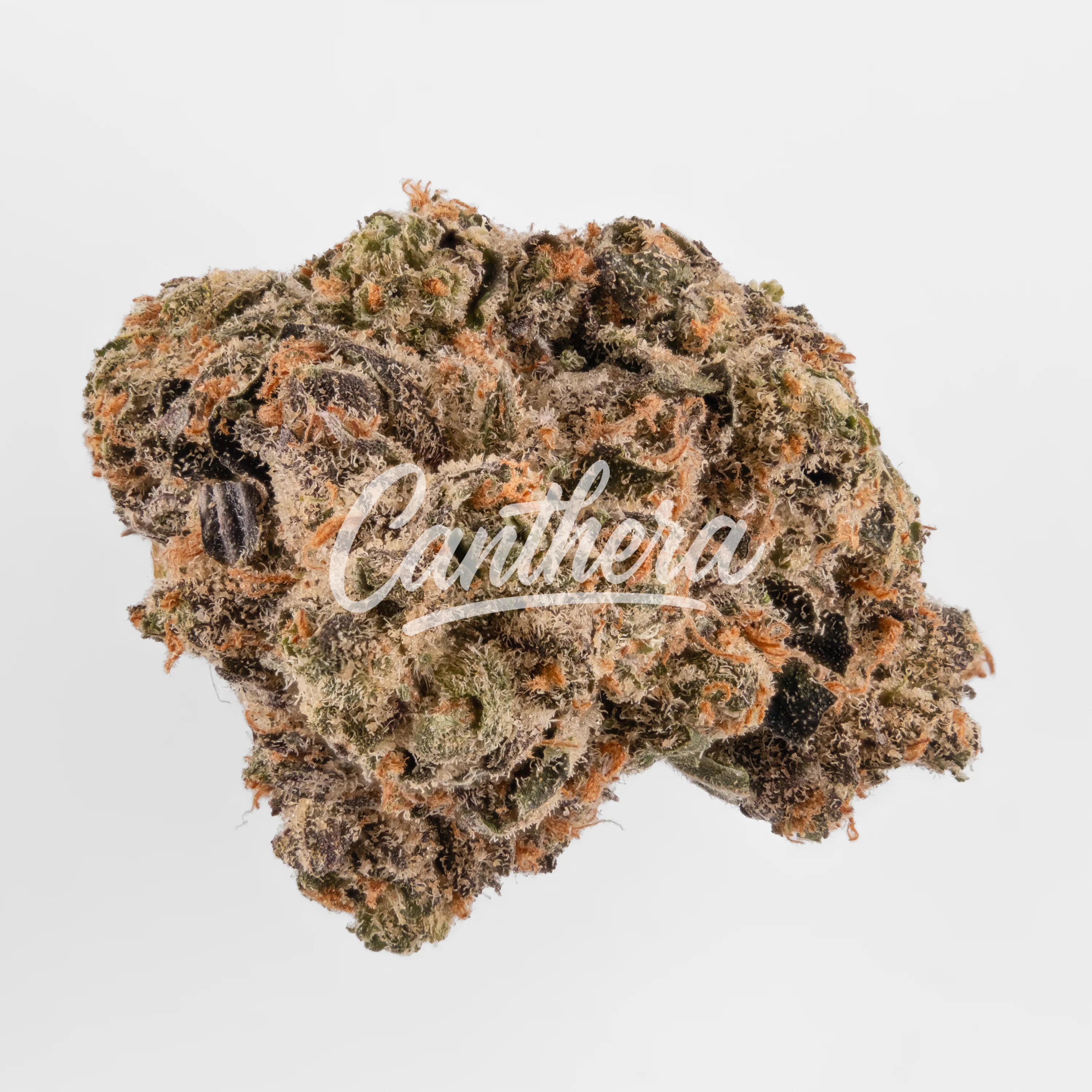 420 Compound 18/1 CA GAG - Glaced Apricot Gelato 420 Compound 18/1 CA GAG - Glaced Apricot Gelato