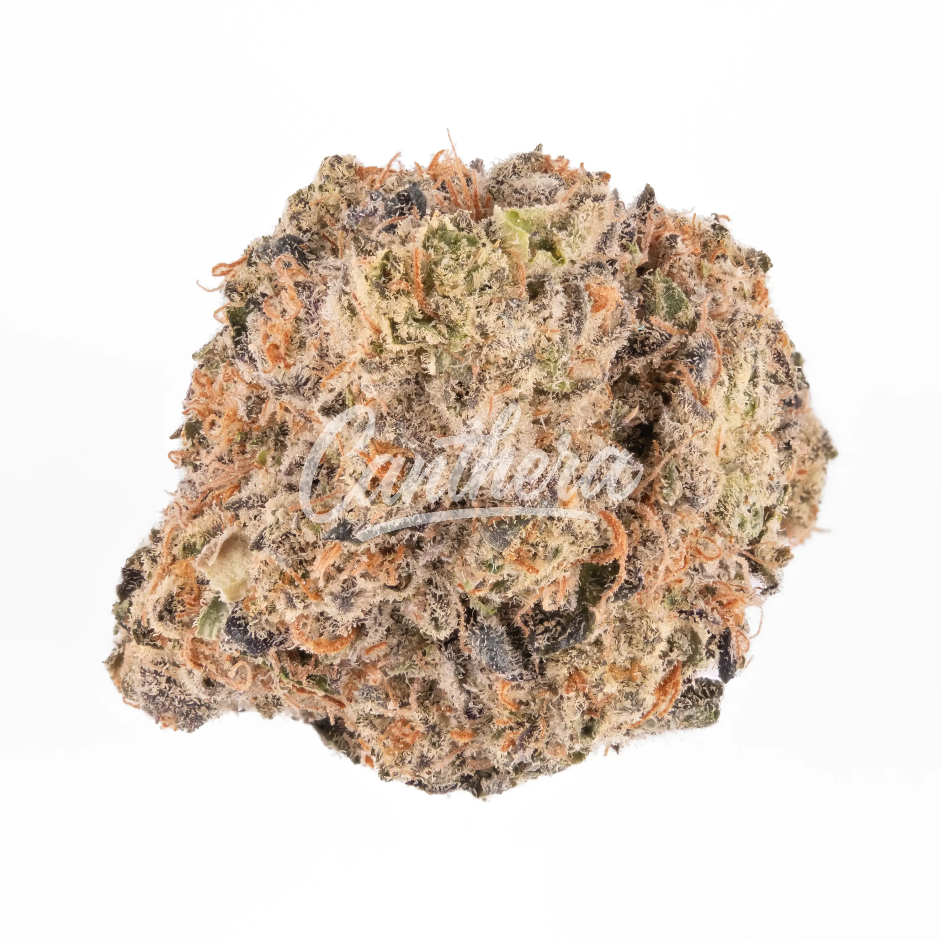 Avaay Khalifa 24/1 KM - Khalifa Mints Avaay Khalifa 24/1 KM - Khalifa Mints