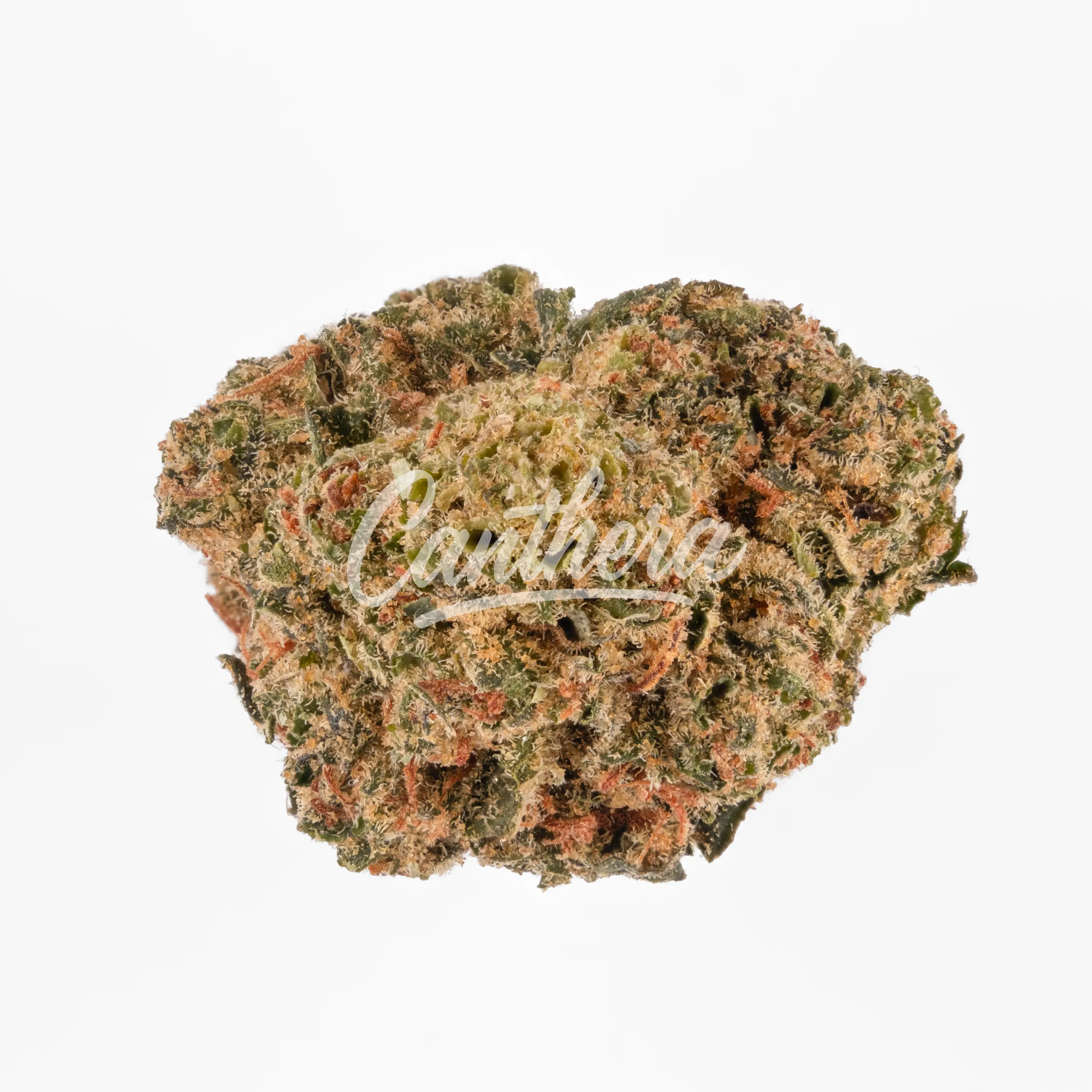 Remexian 21/1 IRC EDG - Endgame Remexian 21/1 IRC EDG - Endgame