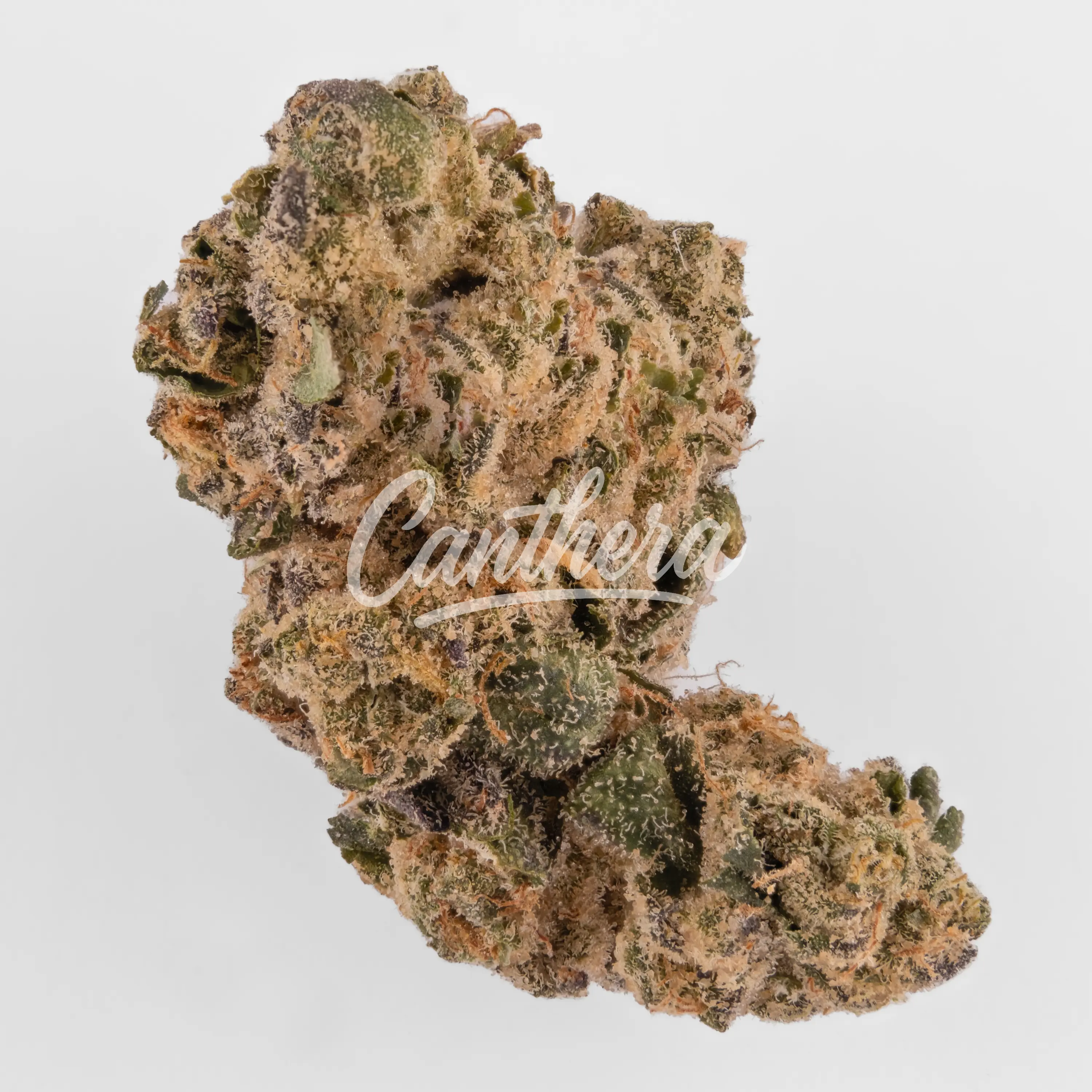 avaay 24/1 AHC - Amnesia Haze Cake Nahaufnahme einer medizinischen Cannabisblüte