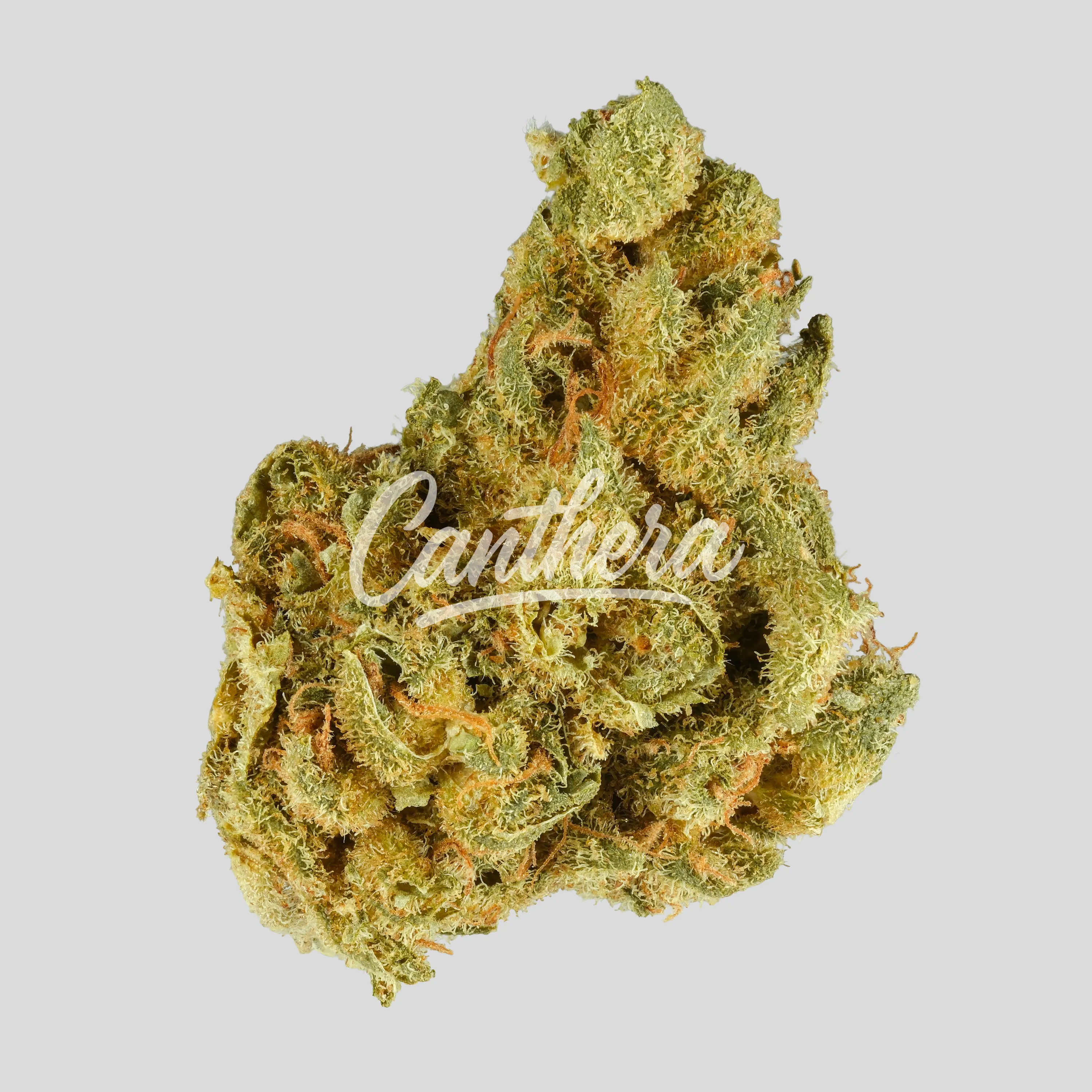 420 Sungrown 20/1 CA ZRP - Zour Apple