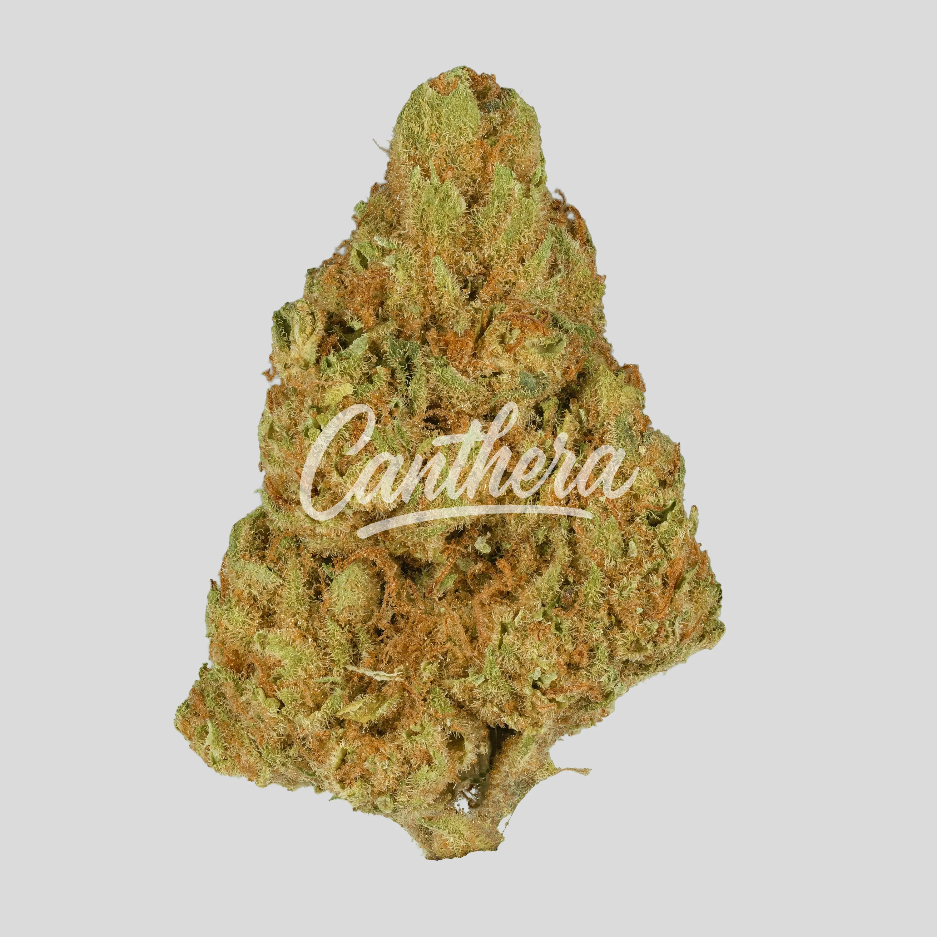 Remexian 30/1 RAS GRT - Green Thunder Remexian 30/1 RAS GRT - Green Thunder