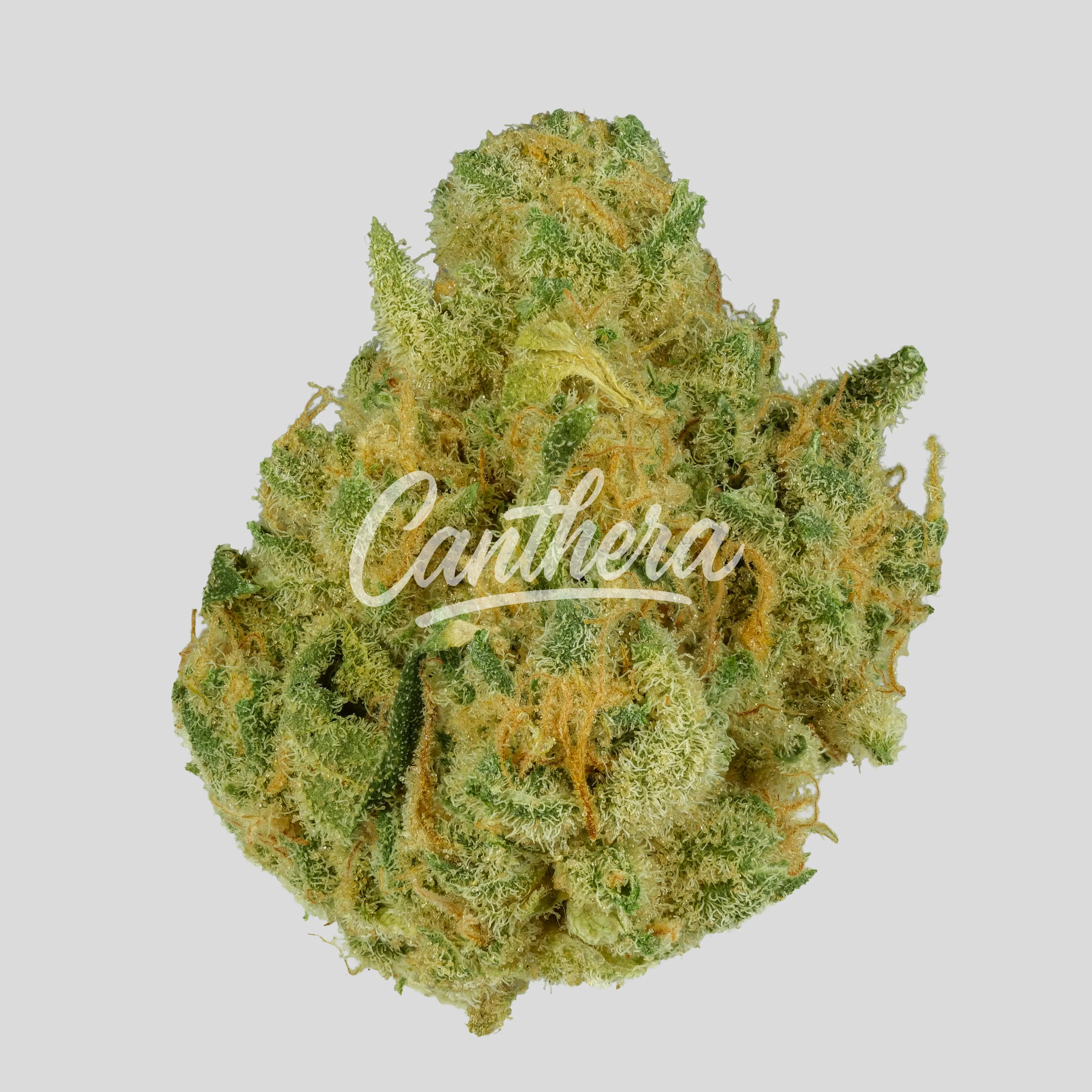 Rua Rau Hiwa 23/1 - Legacy 1 Rua Rau Hiwa 23/1 - Legacy 1