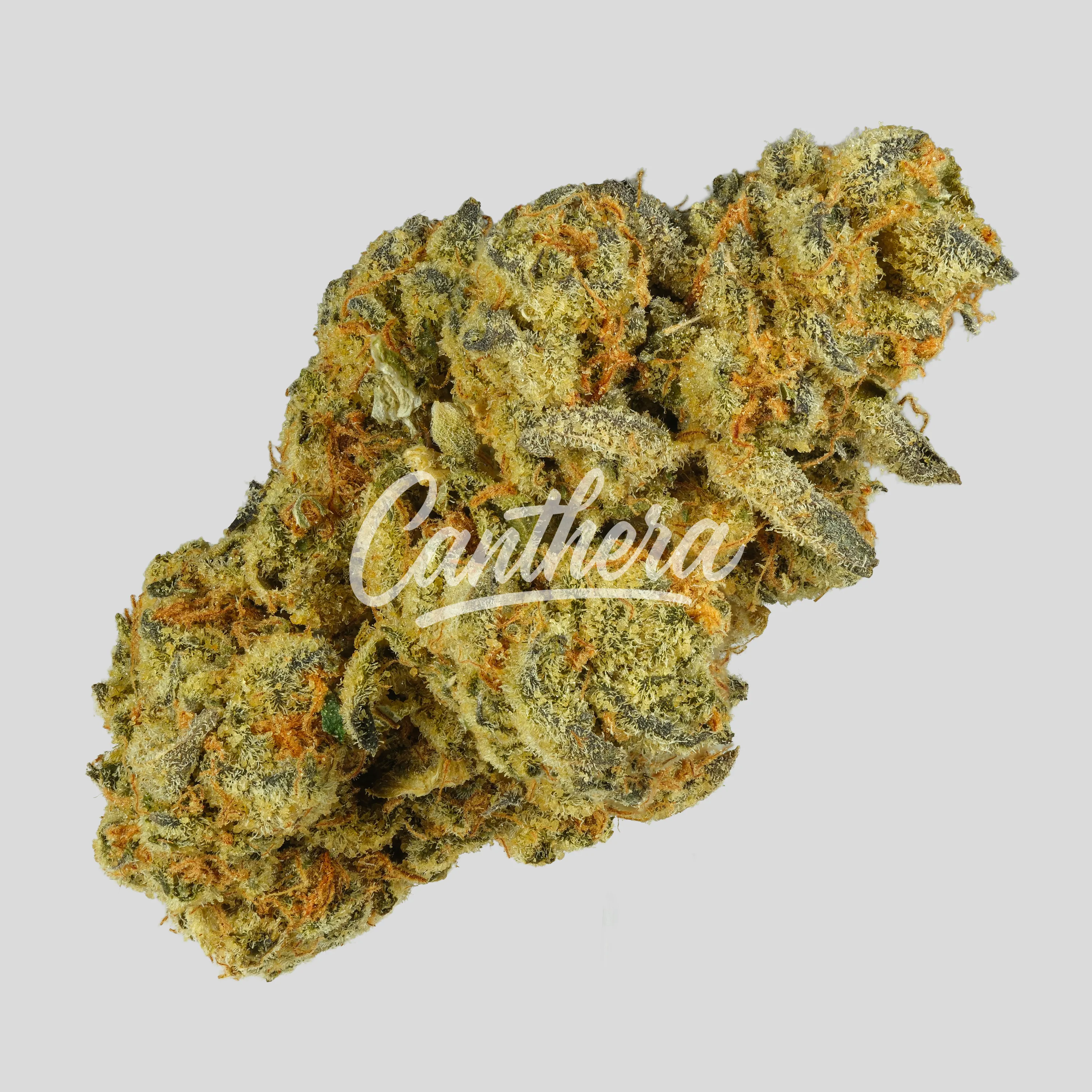 Nimbus easy 30/1 - French Cookies