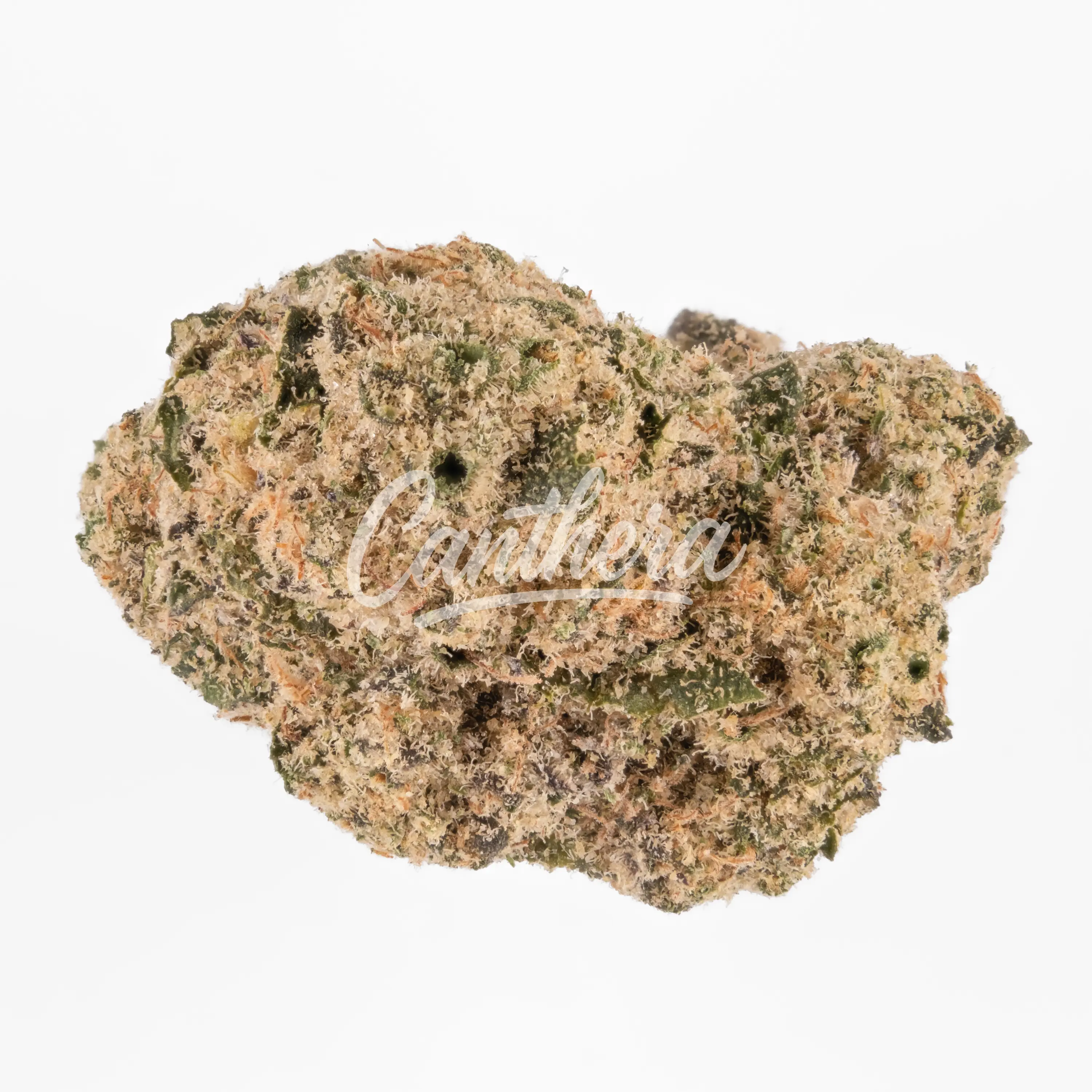 Demecan Craft Magister 31:01 Black Marker