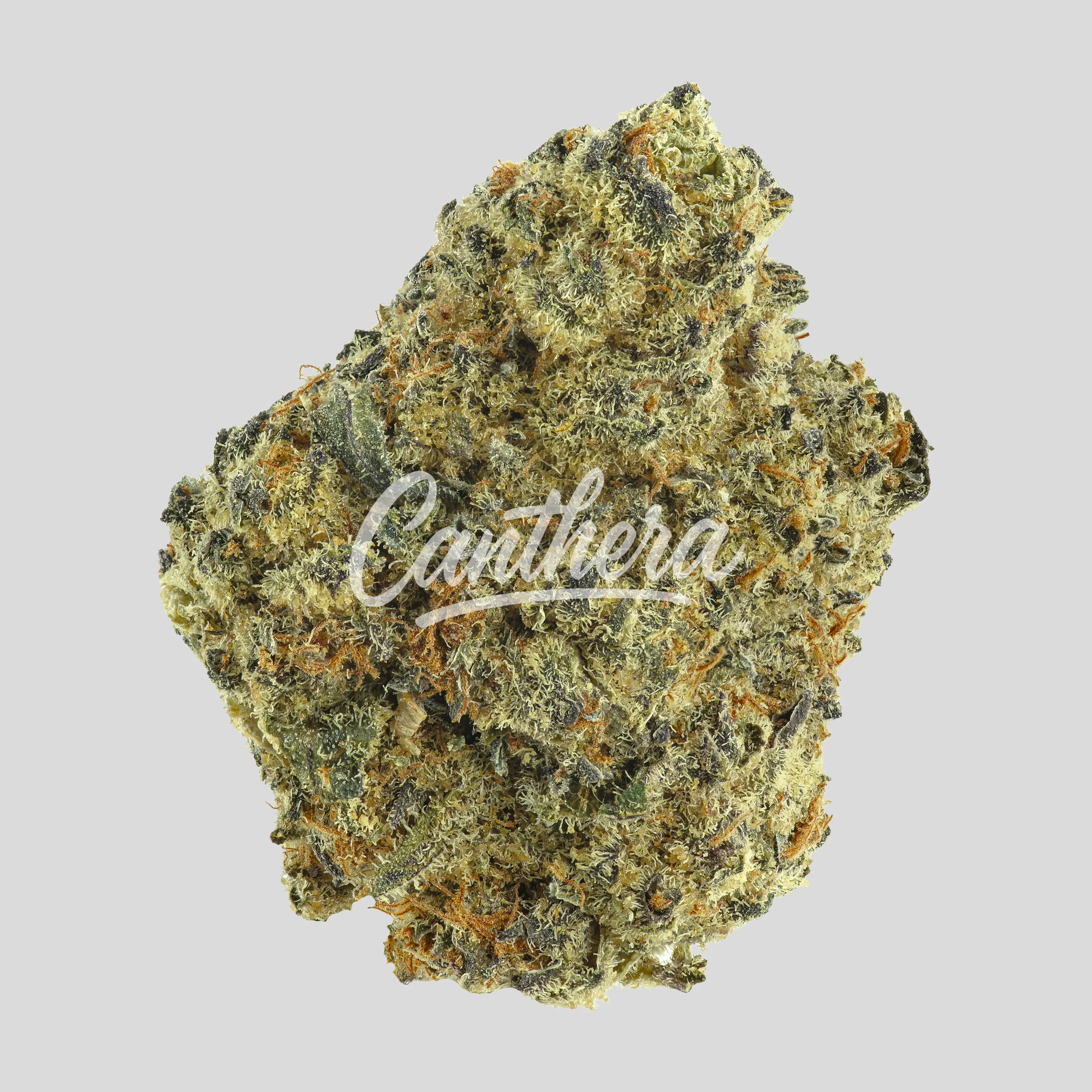 MC Regular Drop Secret Weapon X Cookies n Cream