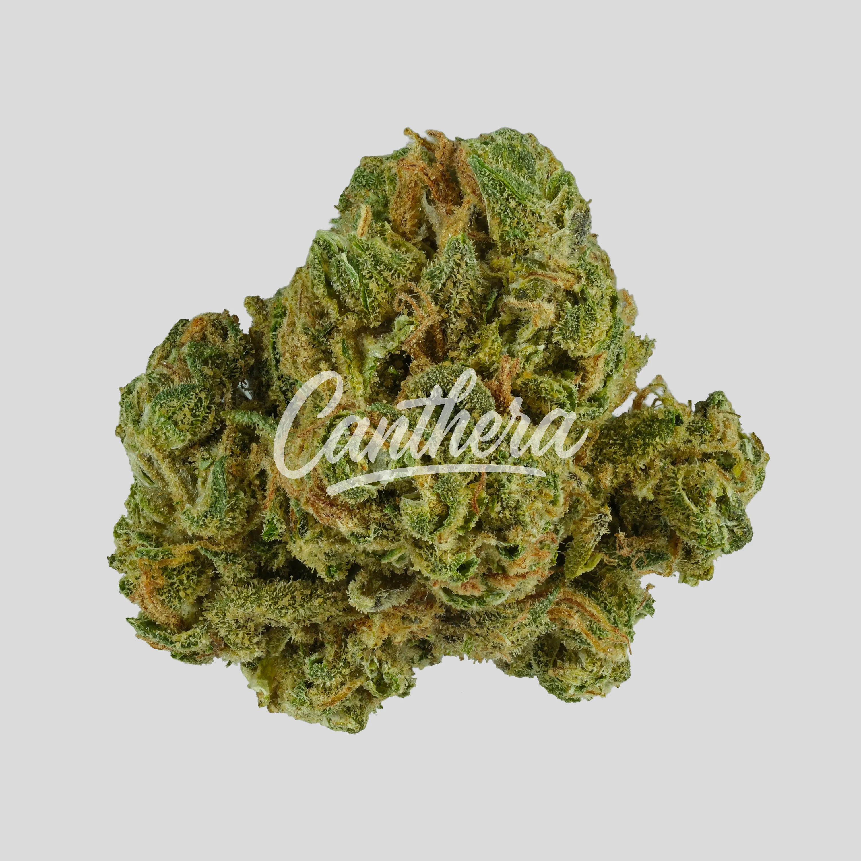 mediproCan Lunaris 19/1 - Supreme Kush