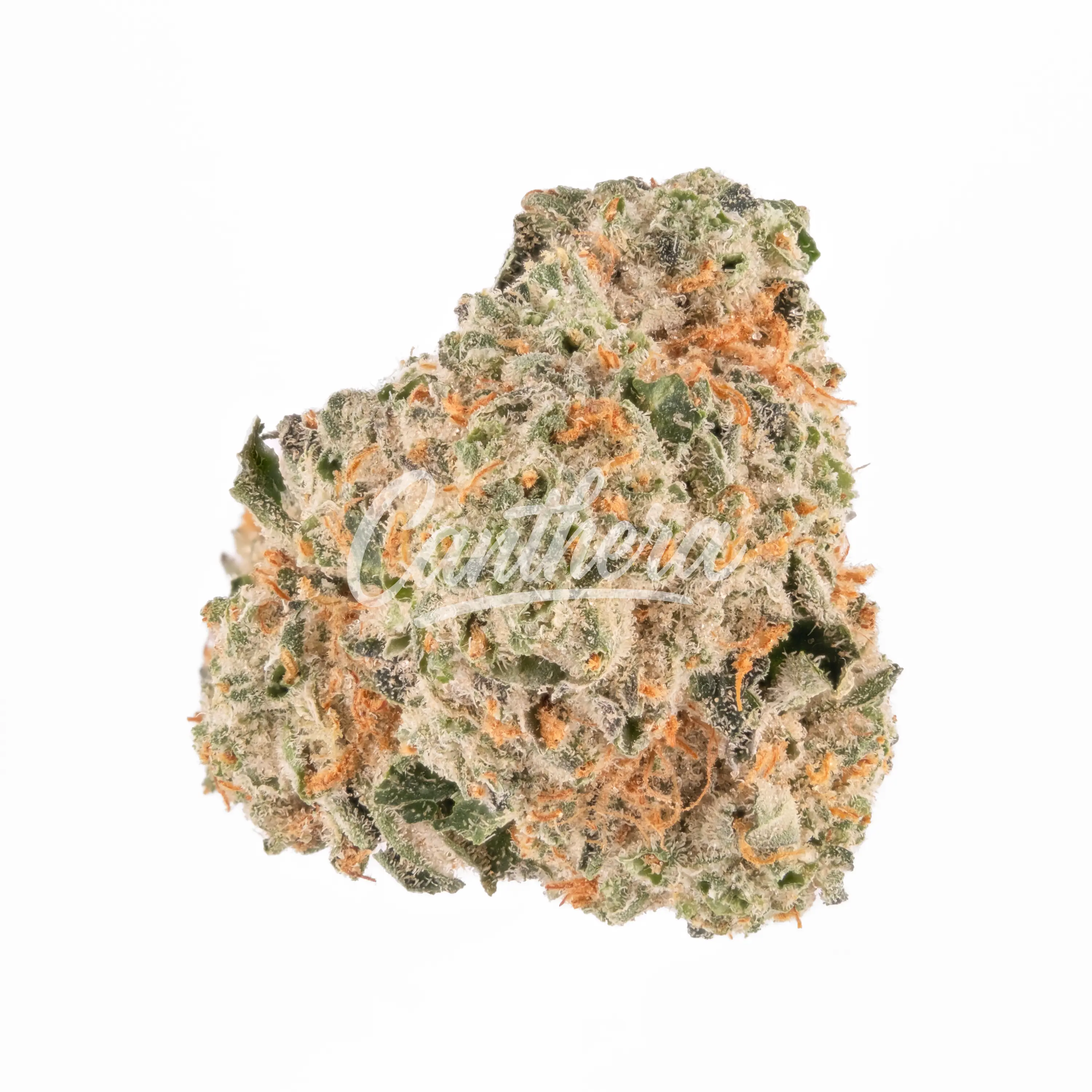 Demecan Core Cross 26/1 Crossbow