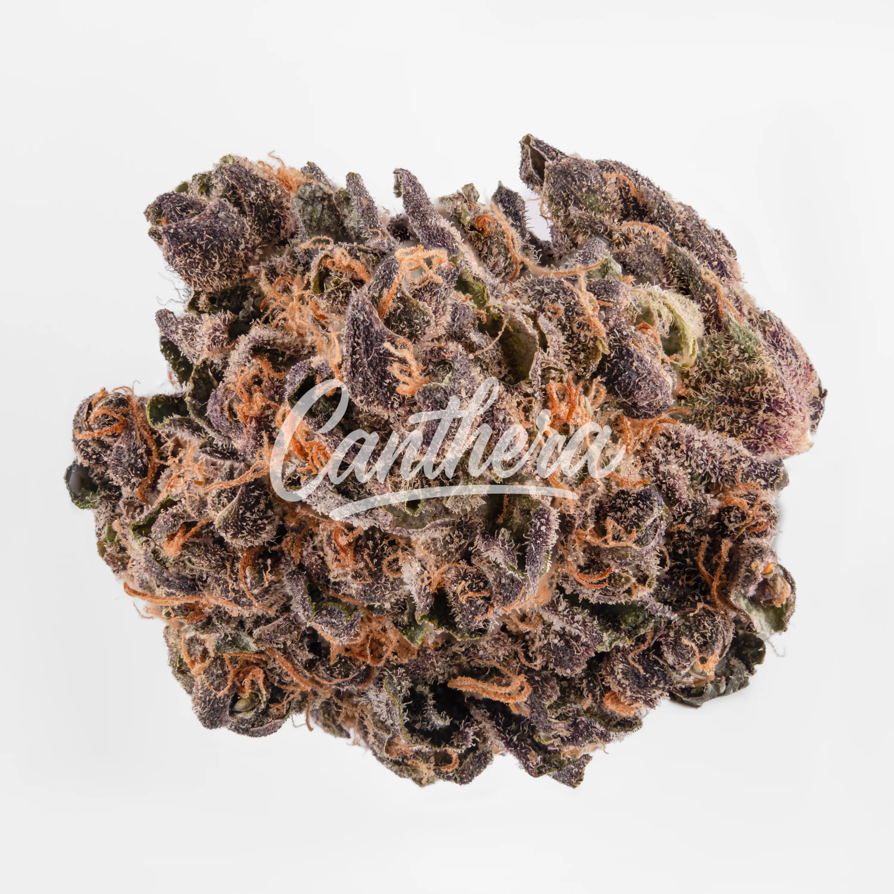 420 Natural 16/1 CA TRP Tropicana Cookies