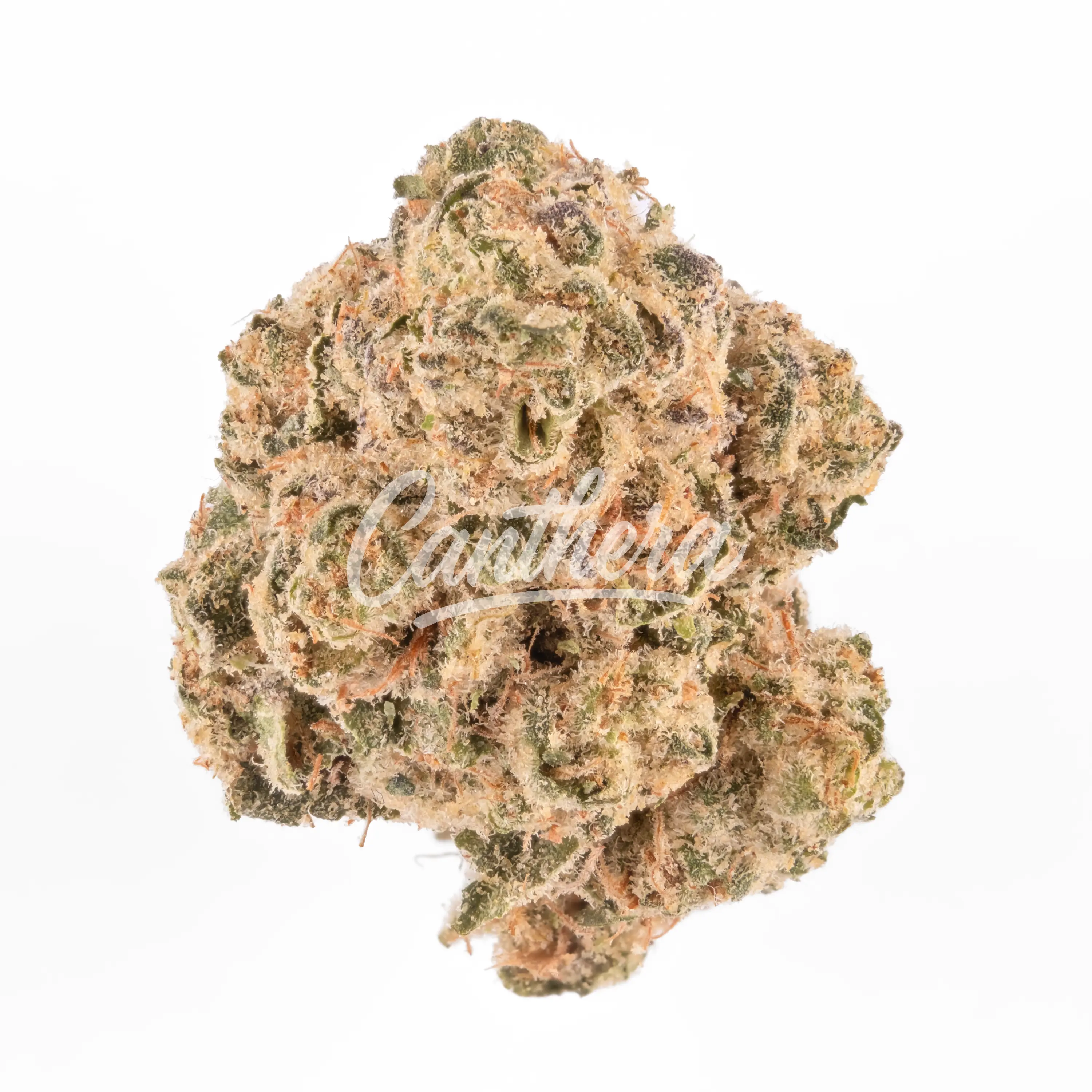 Enua 22/1 SAM CA - Super Alien Mints Enua 22/1 SAM CA - Super Alien Mints