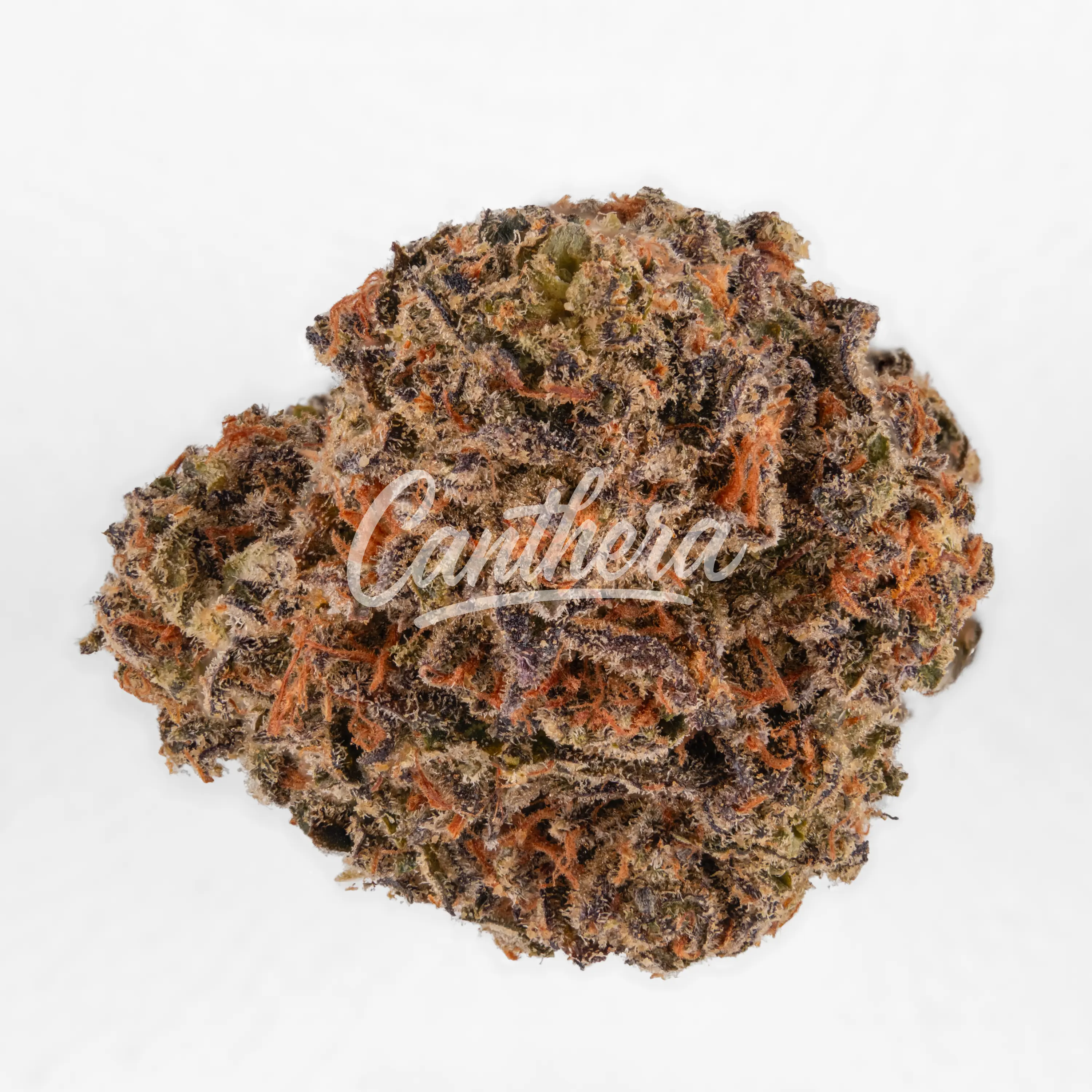 420 Compound 25/1 PT TGY - Tigerz Eye 420 Compound 25/1 PT TGY - Tigerz Eye