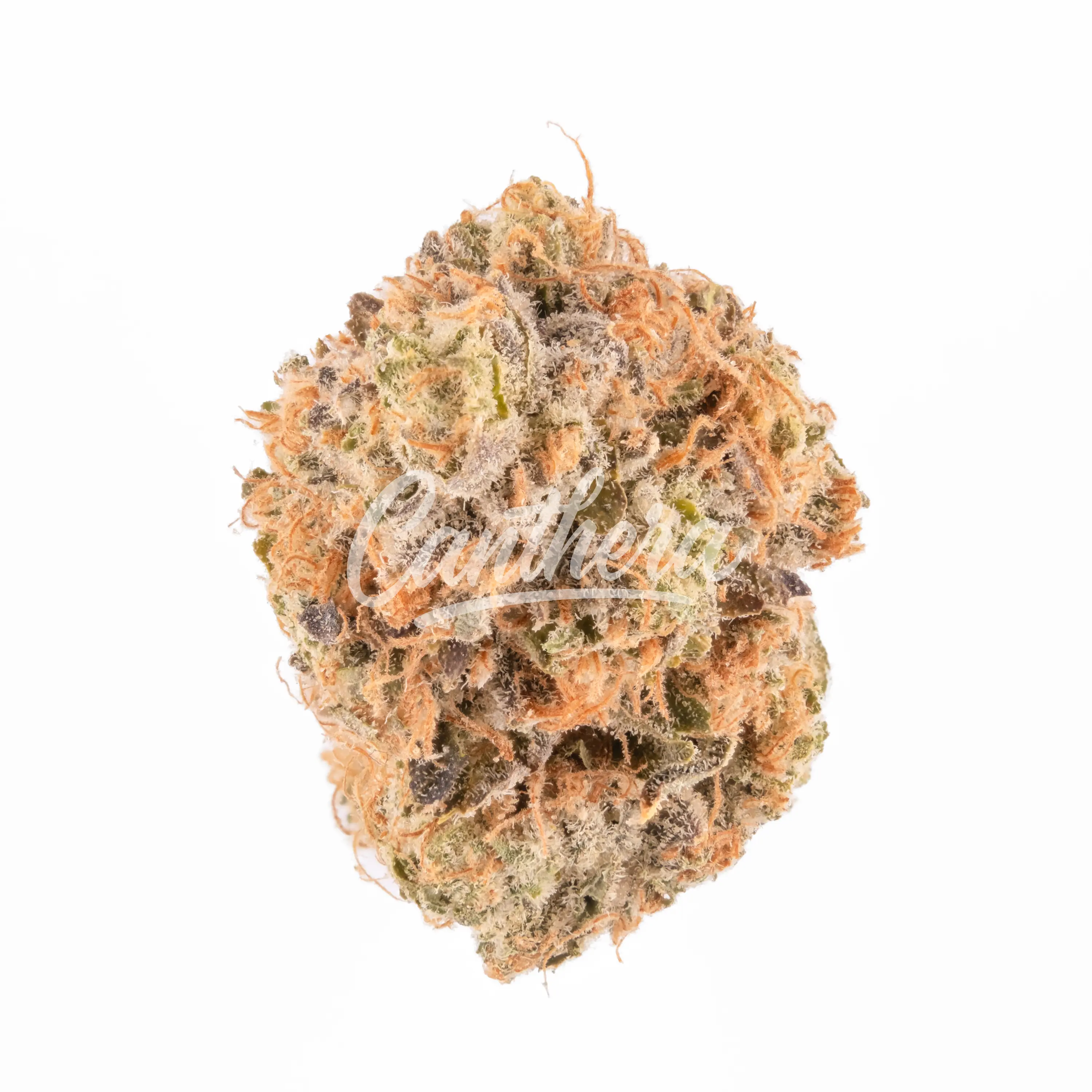 enua 20/1 BNR CA - Blue Nerdz enua 20/1 BNR CA - Blue Nerdz