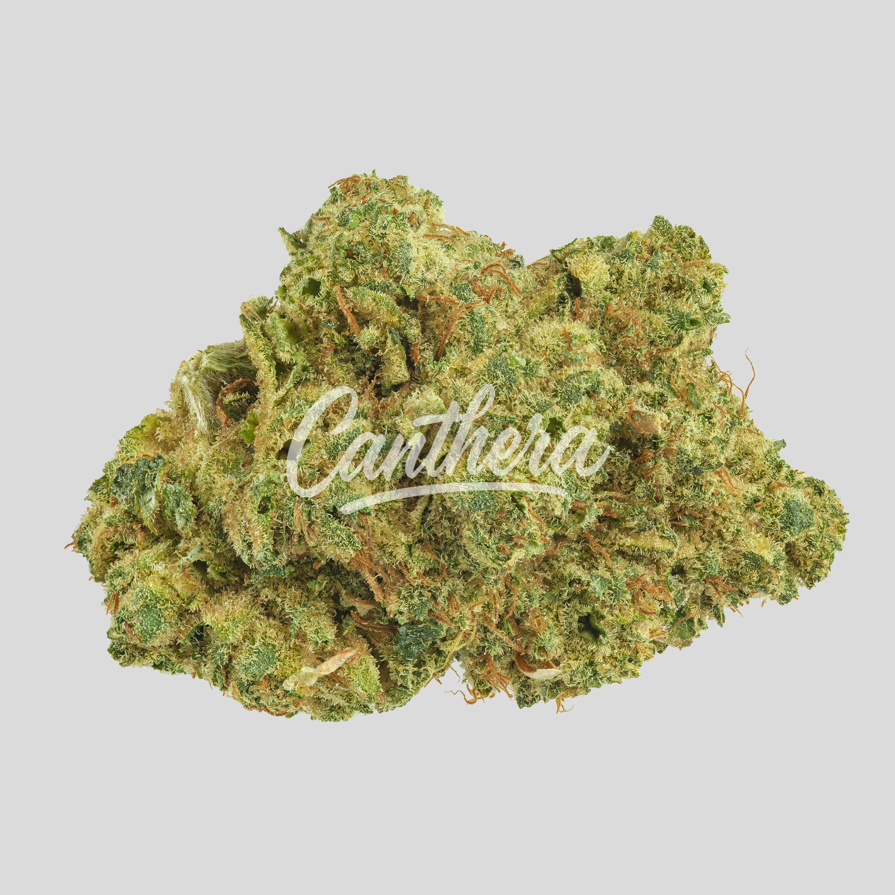 Enua 27-1 GTHA CA Ghost Train Haze online bestellen