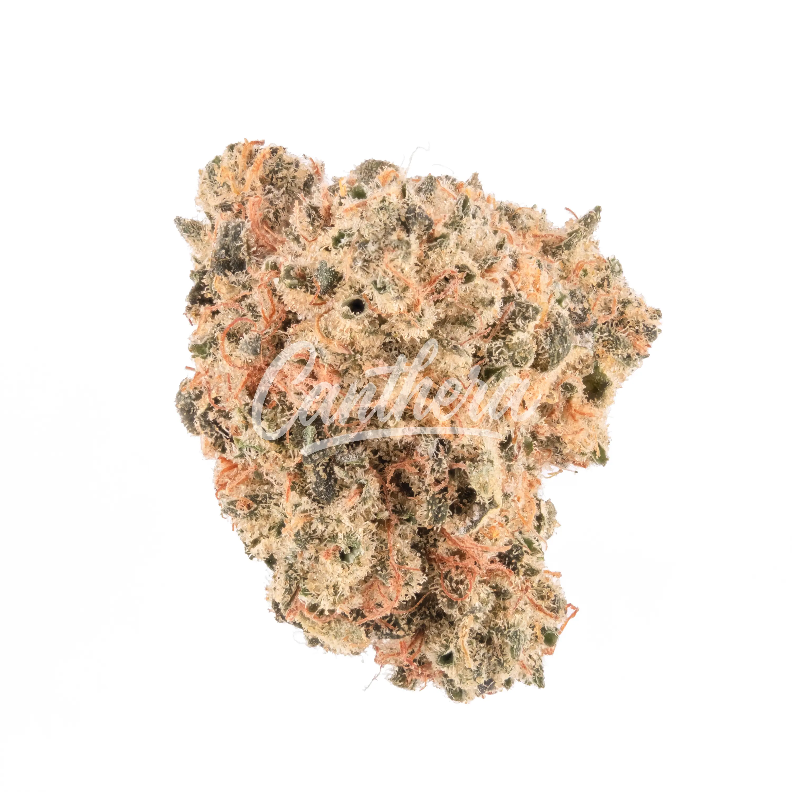 enua 25/1 CCK CA Cold Creek Kush enua 25/1 CCK CA Cold Creek Kush