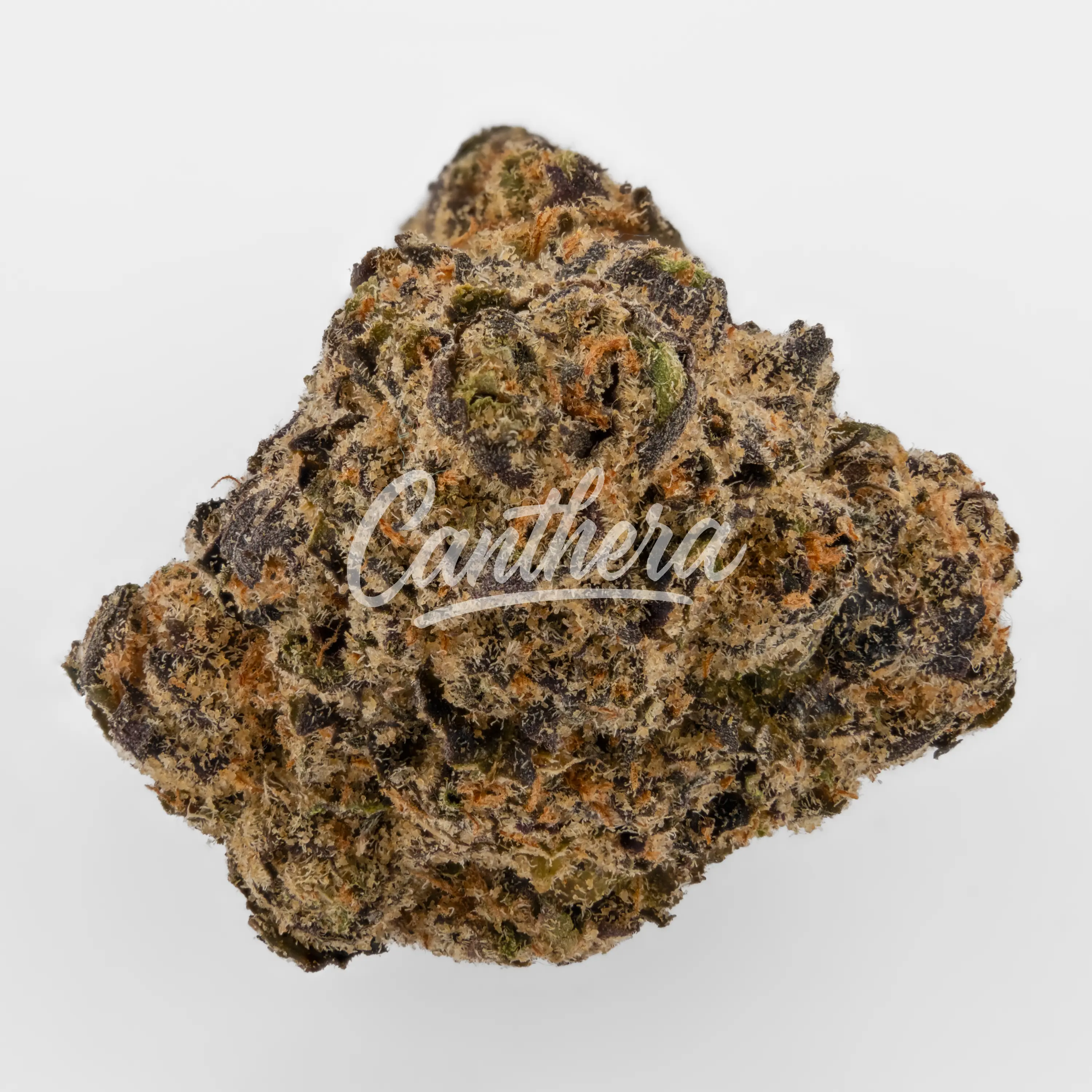 Nahaufnahme einer medizinischen Cannabisblüte