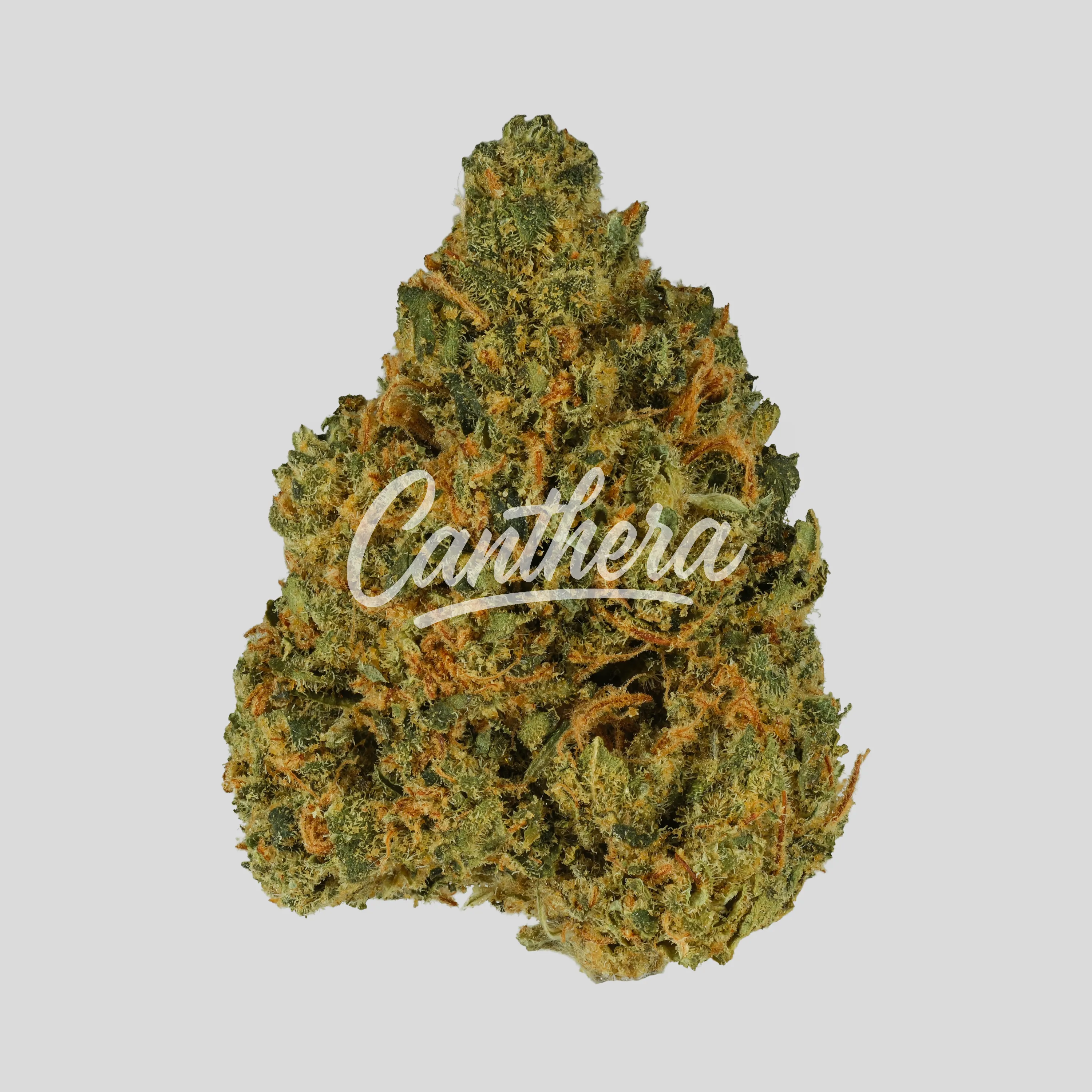 Demecan PS Lean Drop 20/1 - Tropaya Punch