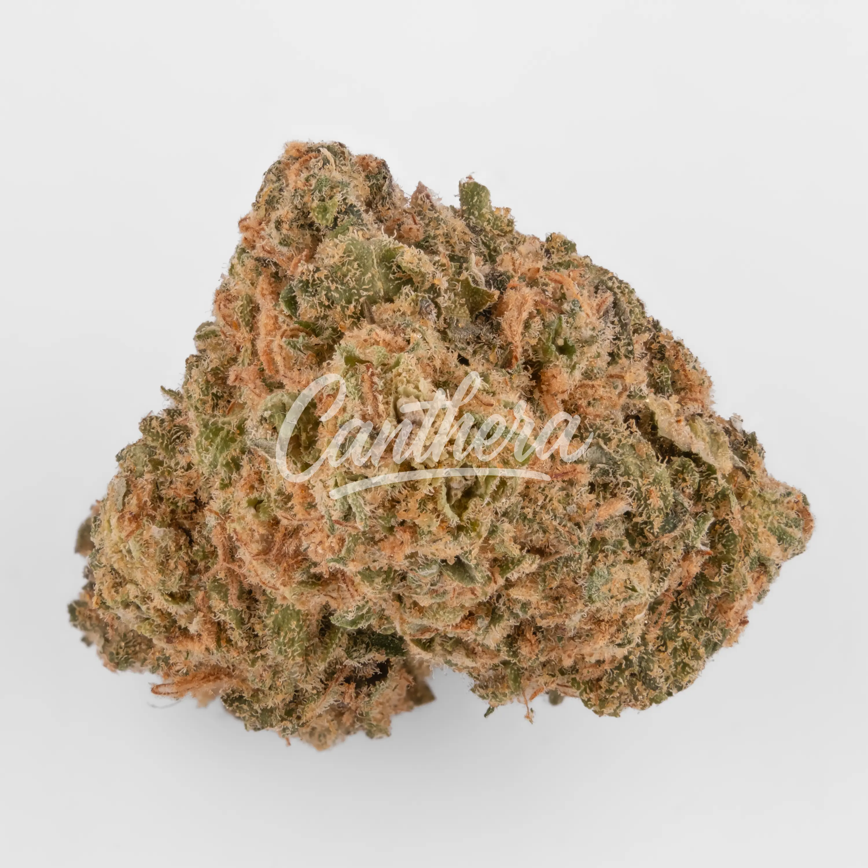 Avaay 20/1 PNK - Pineapple Nuken Nahaufnahme einer medizinischen Cannabisblüte