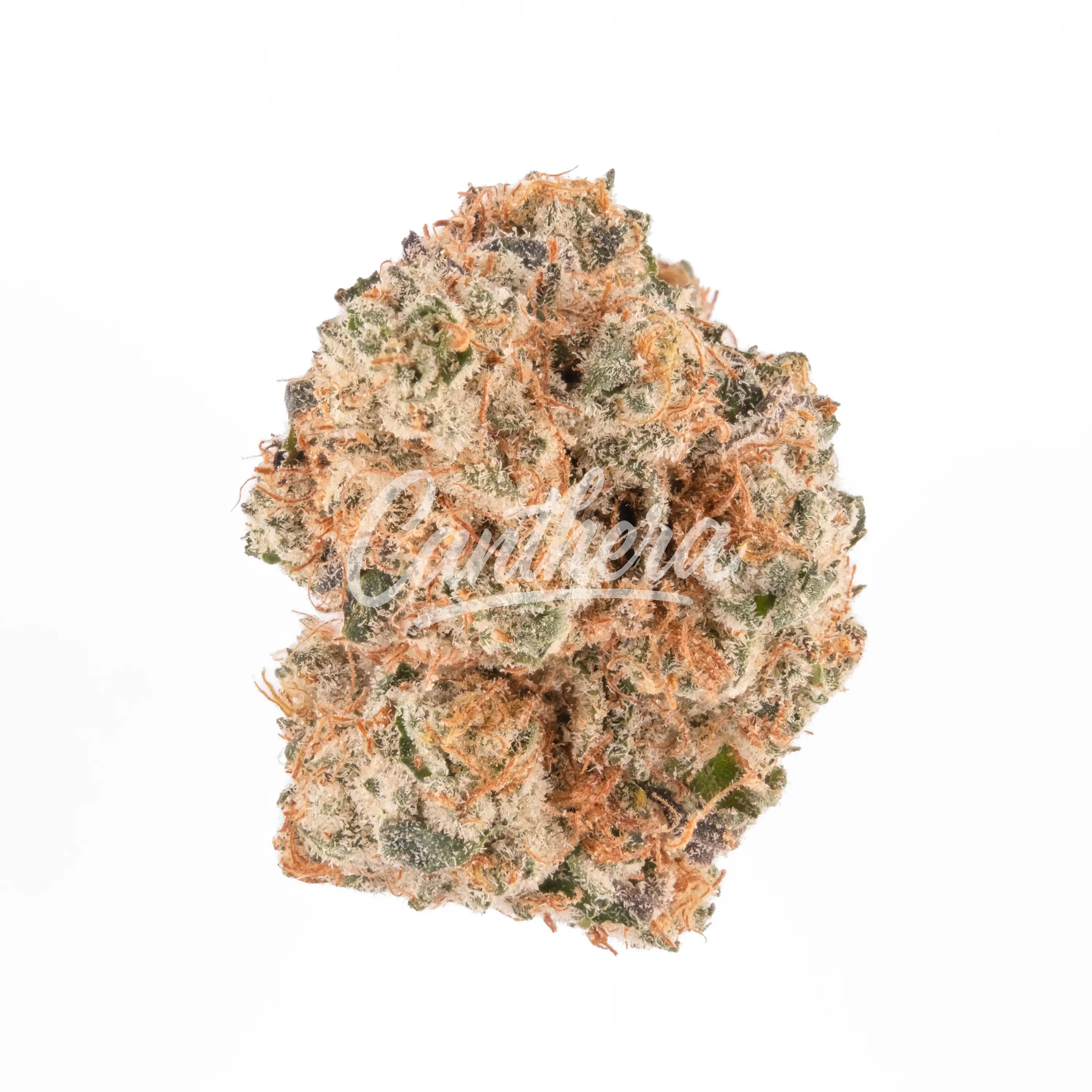 enua 25/1 RS11 - Rainbow Sherbert 11