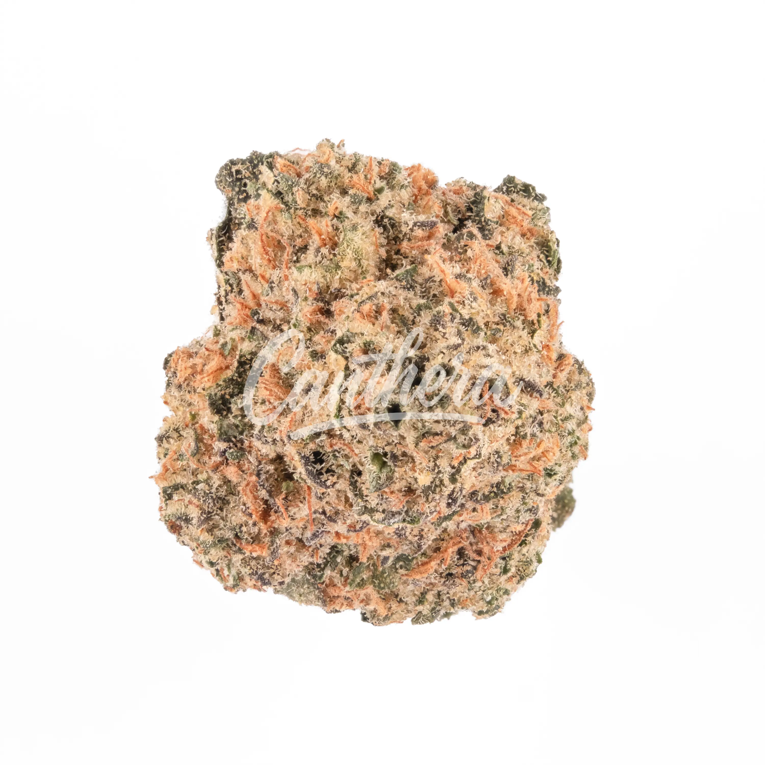 enua 30/1 CCK-GBZ CA - Guava Barz enua 30/1 CCK-GBZ CA - Guava Barz