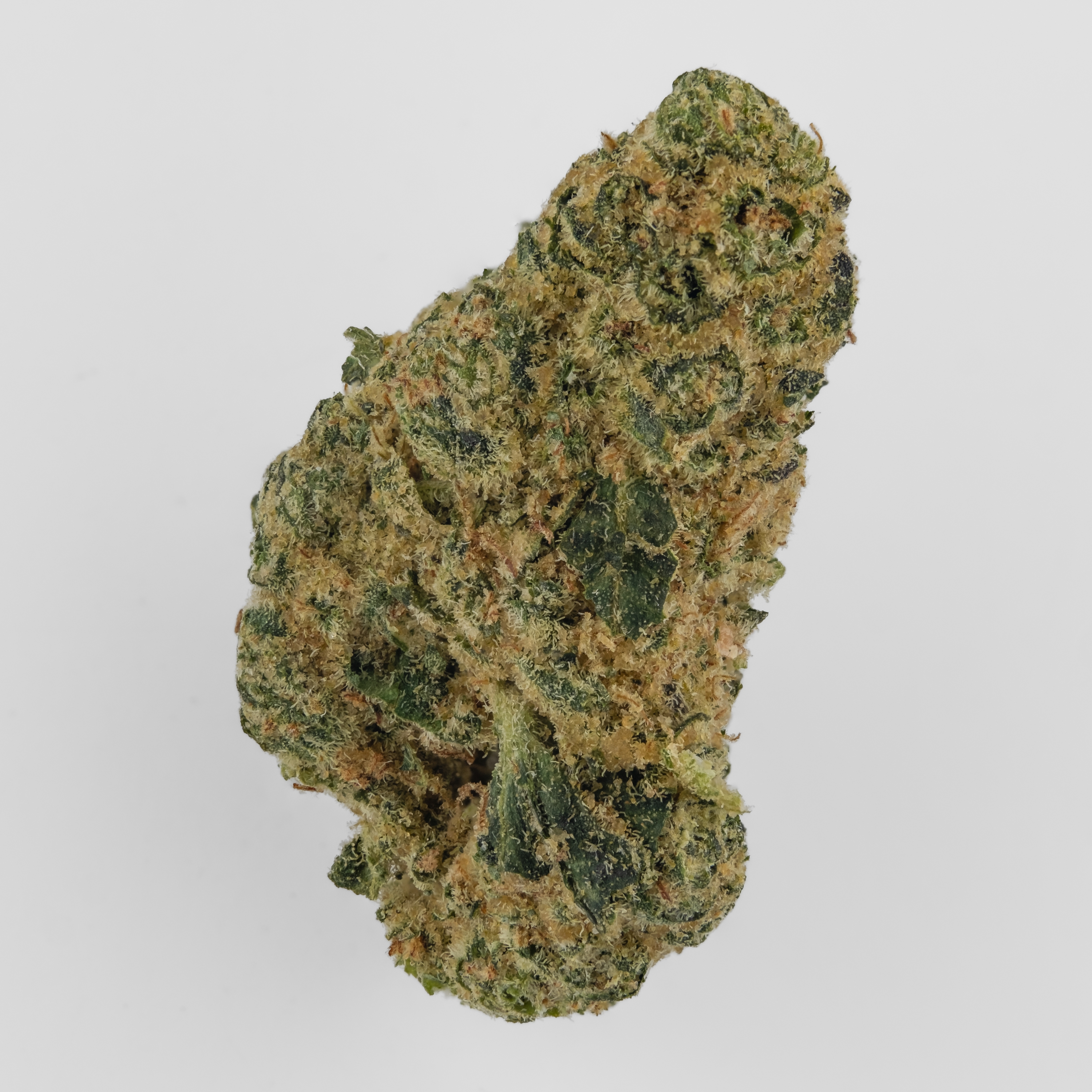 Nahaufnahme einer Cannabisblüte